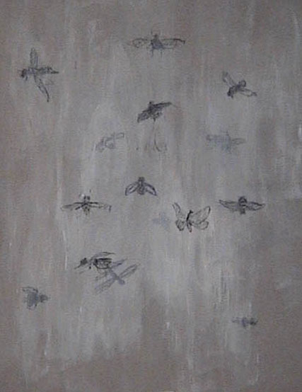 Bugs