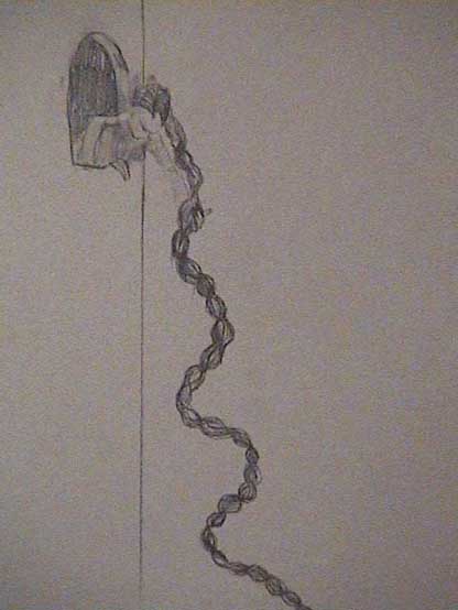 Rapunzel 4