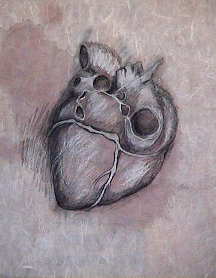 Heart (#27)