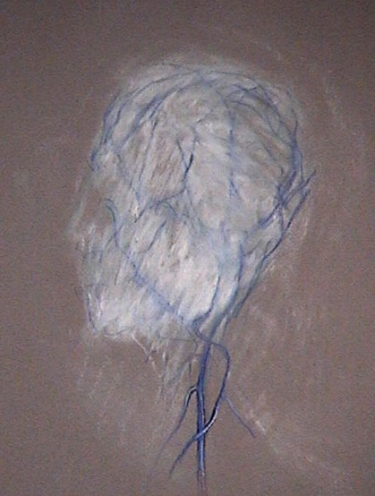 Veins of the Head